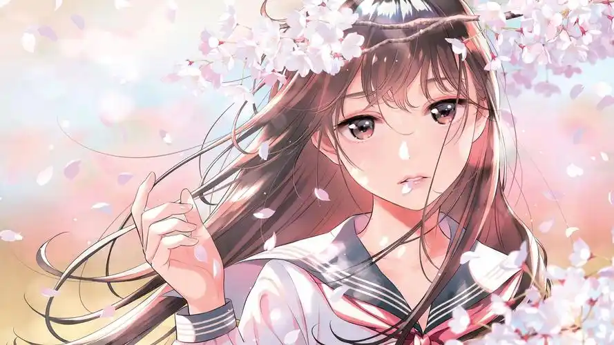 banner 经典电影