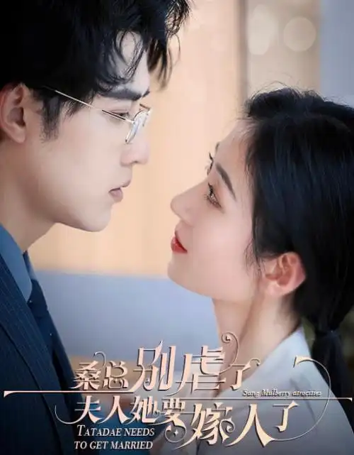 双城叙事 热播电视剧全集在线观看
